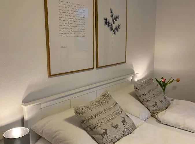 Frozen Time 弗拉绍